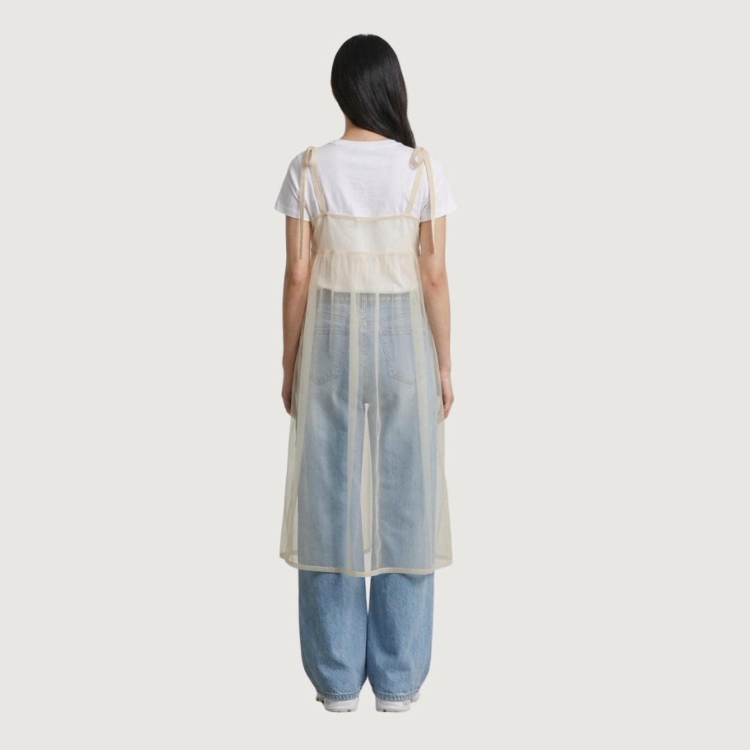 Sheer Overlay Dress