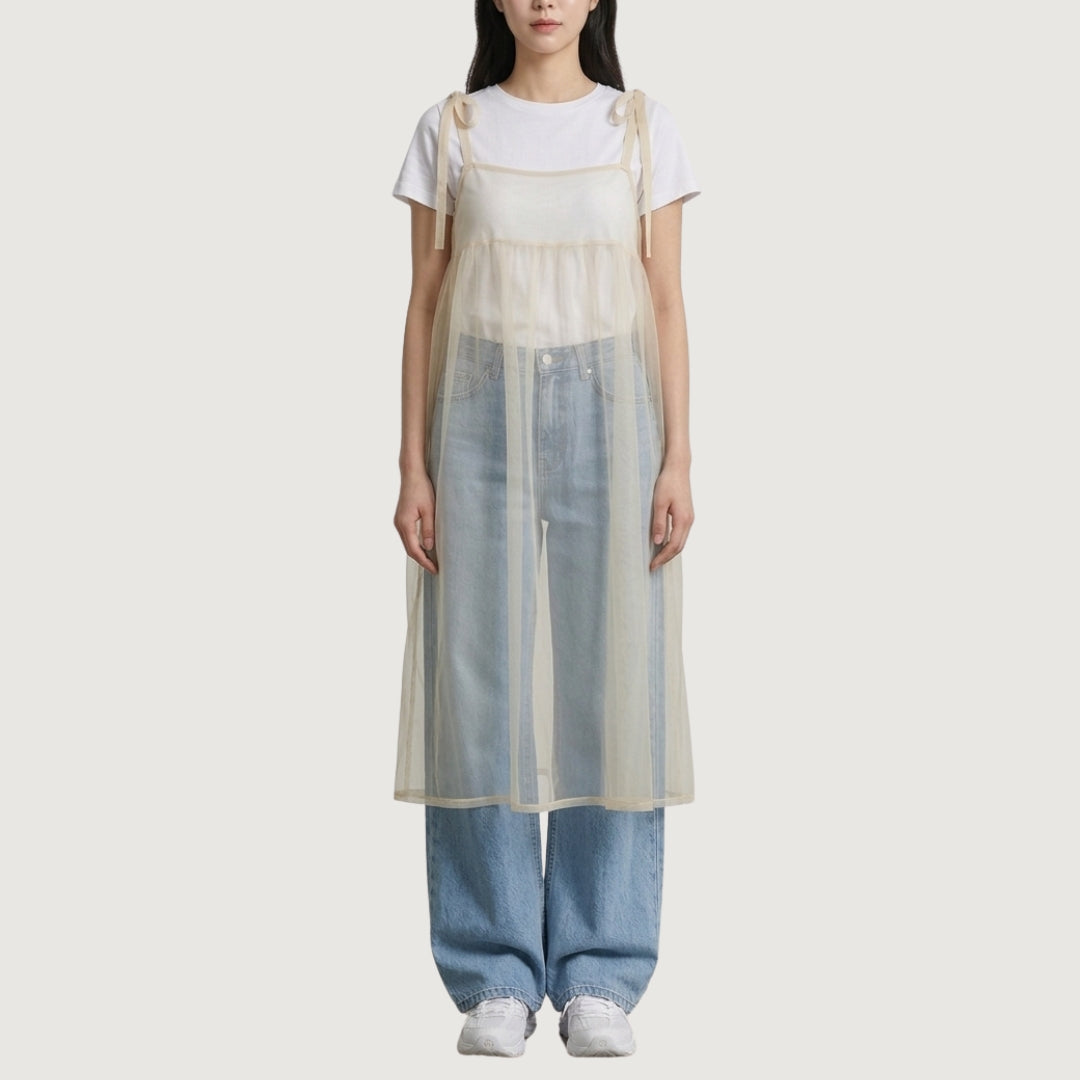 Sheer Overlay Dress